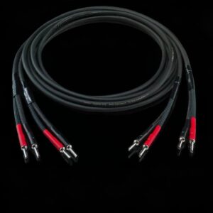 德國 HORN AUDIOPHILES<BR>MAESTRO 喇叭線