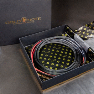 意大利 GOLD NOTE<br>SIENA PLUS 喇叭線