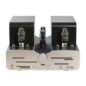 意大利 SYNTHESIS<br>FCO 300B 合併放大器